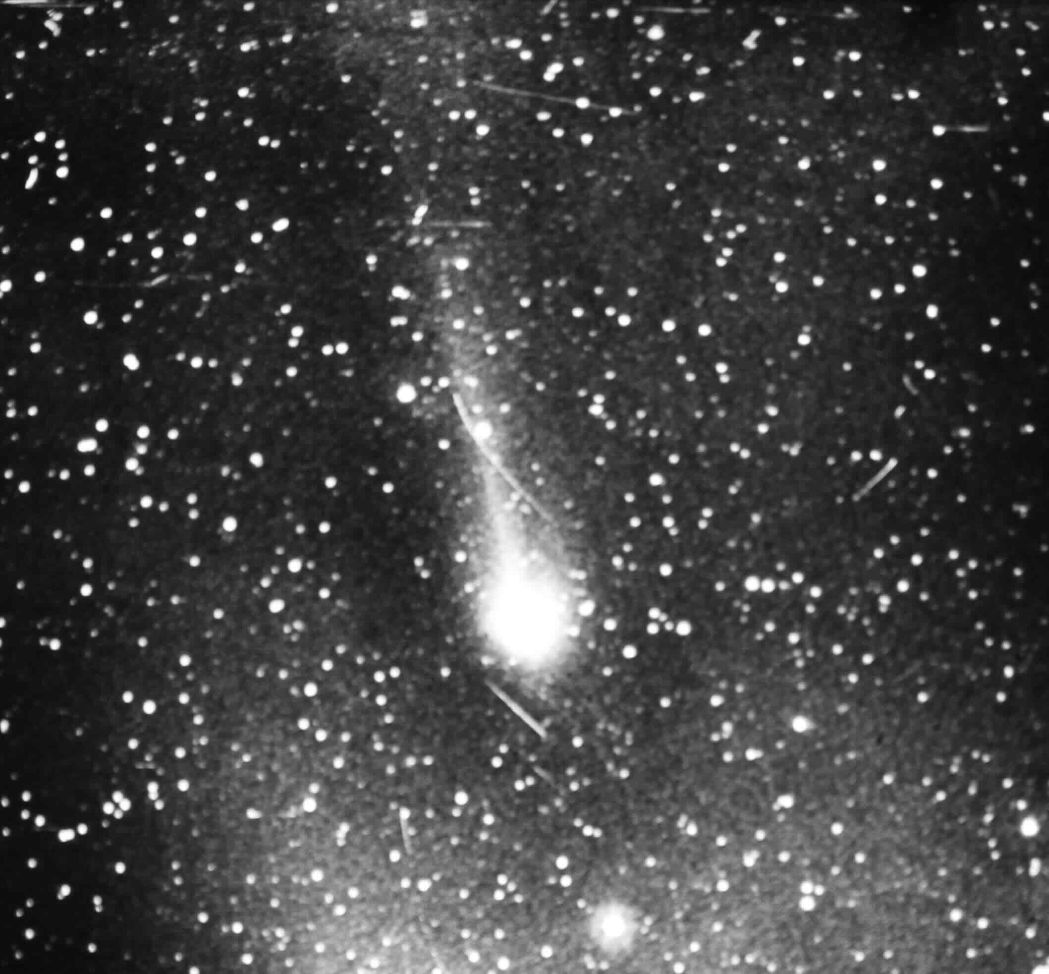Halley's Comet