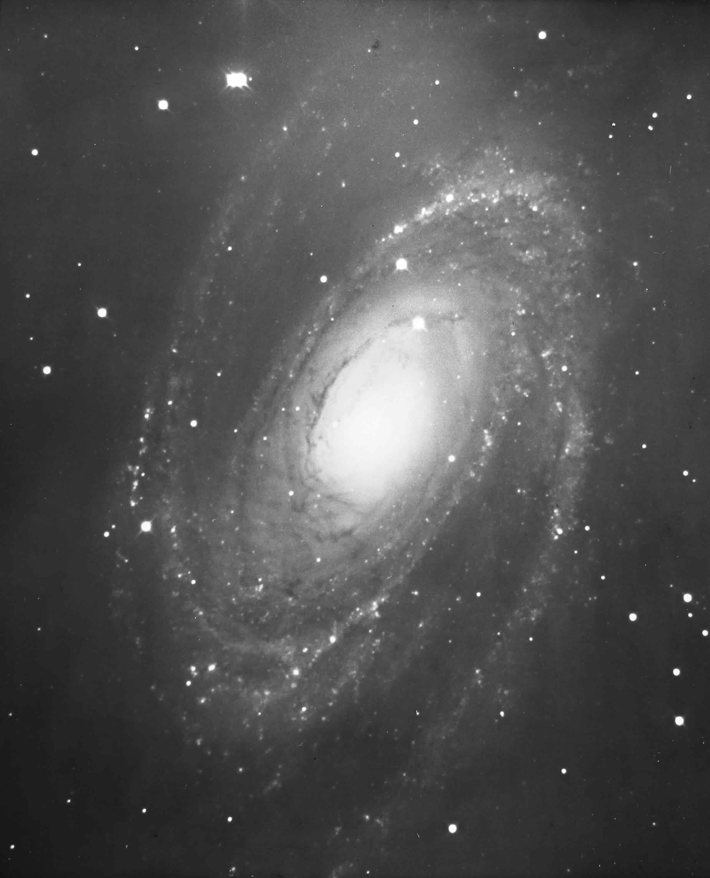 M81